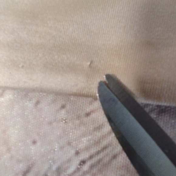 Wacoal Sensibility Convertible Underwire 36DD Cream Bra - Picture 9 of 16